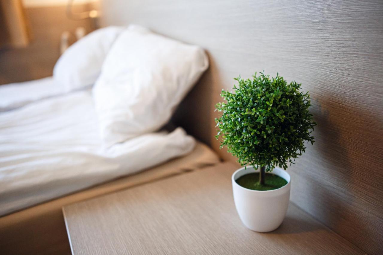 Ambre Mare - Wypoczynek Pod Palmami Bed & Breakfast โปเบียโรโว ภายนอก รูปภาพ